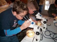 Gosses étudiant des boules de récif avec 
le microscope