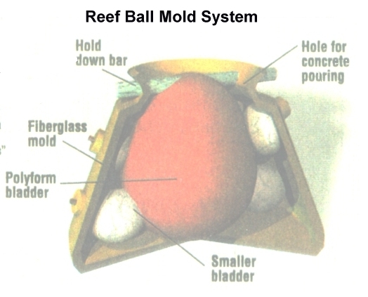 Diagramme de système de moule de boule de récif